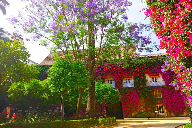 "Las Dueñas" Palace ticket + Audioguide - Inside the Palacio: What to Look for as You Walk