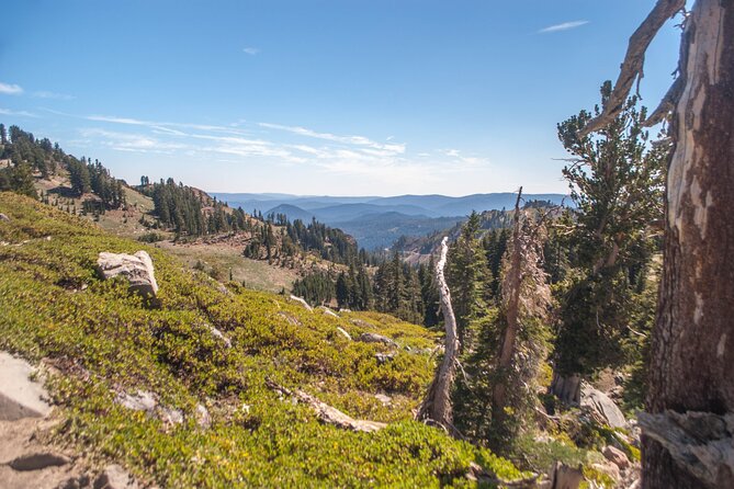 Lassen Volcanic National Park Self-Guided Audio Driving Tour - Volcanic sights in order: what each stop gives you