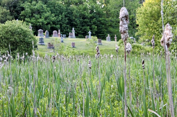 Layers of Natural History: Picton Nature Self-Guided Audio Tour - Glenwood Cemetery at the finish: a park-like setting with burial sites