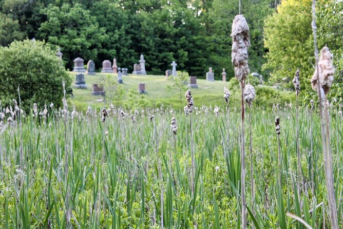 Layers of Natural History: Picton Nature Self-Guided Audio Tour - Price and value: why $9.99 feels fair here