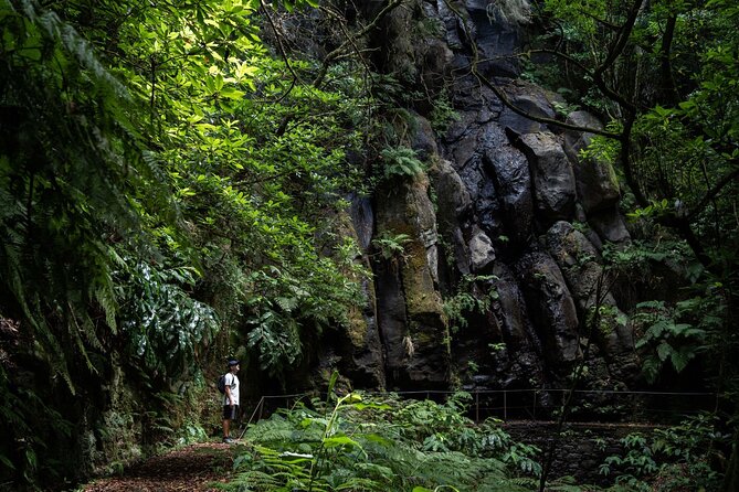 Levada do Caldeirão Verde Self-Guided Hike in Madeira - Key things to know before you go