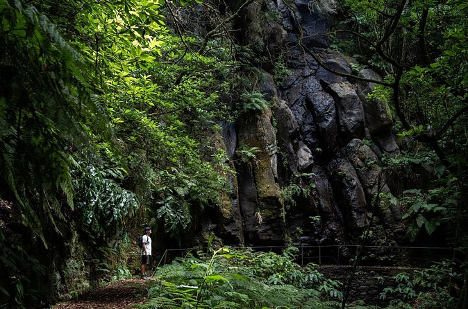 Levada do Caldeirão Verde Self-Guided Hike in Madeira - Price and value: what you’re paying for (and what you’re not)