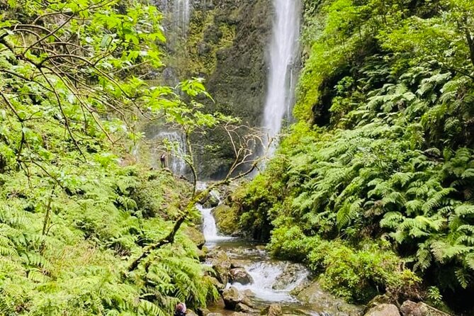 Levada do Caldeirão Verde Self-Guided Hike in Madeira - FAQ