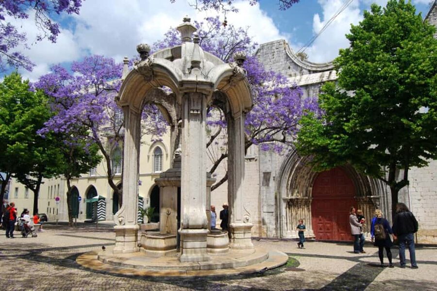 Lisbon: City Audio Guide with 24-Hour Transportation Pass - Belem Tower and Jerónimos Monastery: how to plan without entry tickets