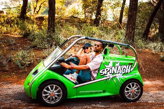 Lisbon Self-Drive Sightseeing Tour in an Electric Car - Park of Nations, Botanic Garden, and São Luís Theater: a calmer Lisbon side