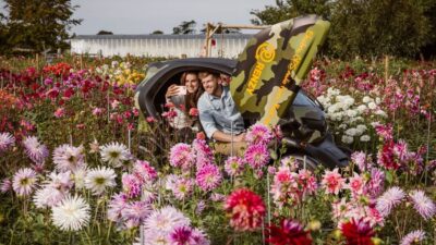 Lisse: Drive-it-Yourself Summer Flower GPS Audio Tour - The 35 km self-drive route: dunes, bulb region, and show gardens