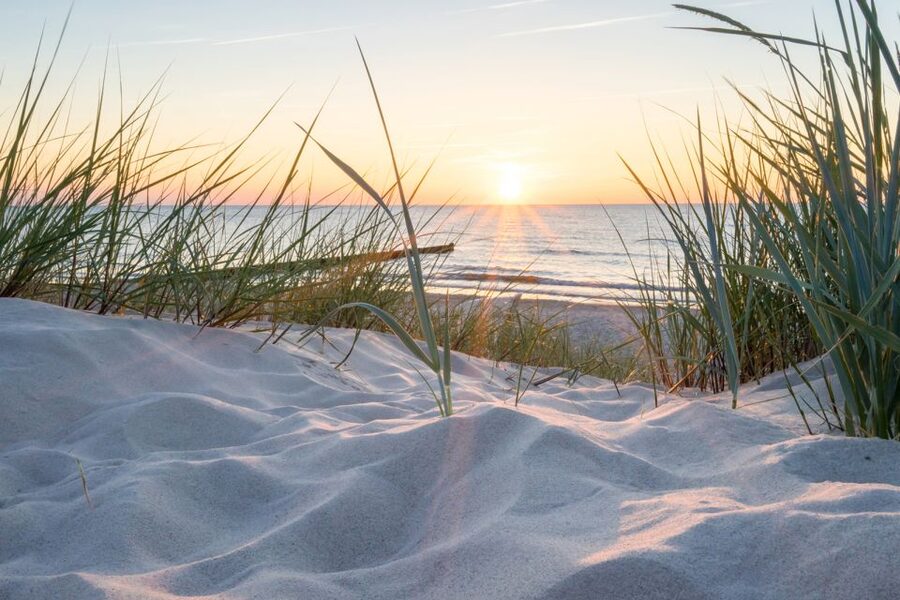 Lisse: Self-Drive Electric Car Dune and Beach Audio Tour - Key highlights you’ll feel right away
