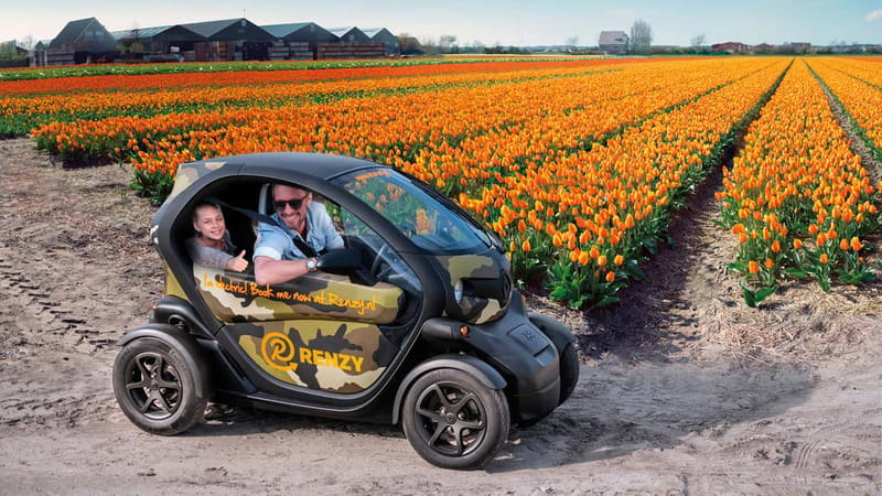 Lisse: Self-Guided Tulip Fields GPS Audio Tour - Why this Lisse tulip drive feels different from a Keukenhof day