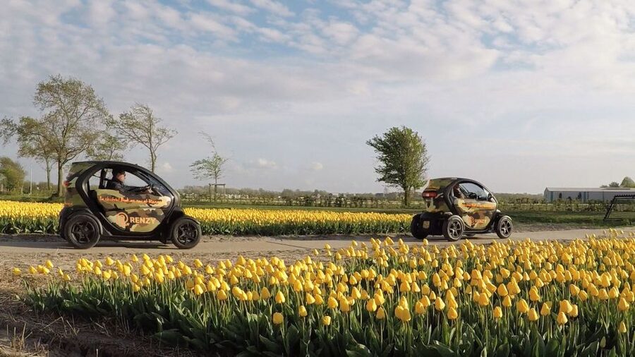 Lisse: Self-Guided Tulip Fields GPS Audio Tour - Audio guide on board: practical facts you’ll actually use