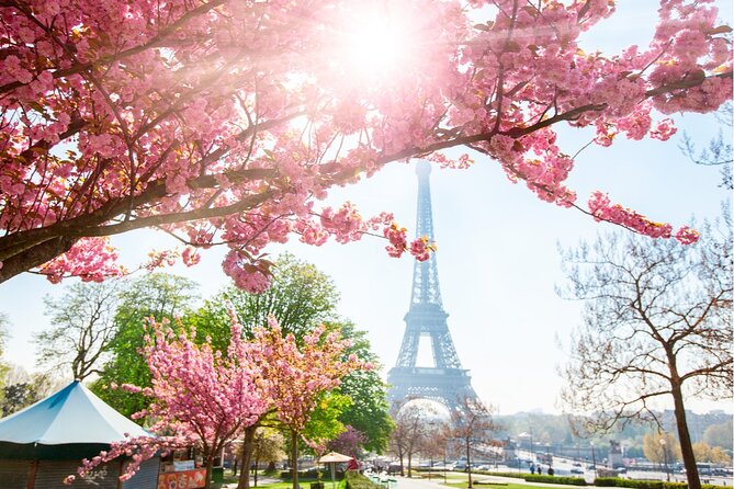 Live, Laugh, Love Along the Seine: Self-Guided Romantic Tour - Saint-Germain-des-Prés and Procope: Abbey age, coffee age