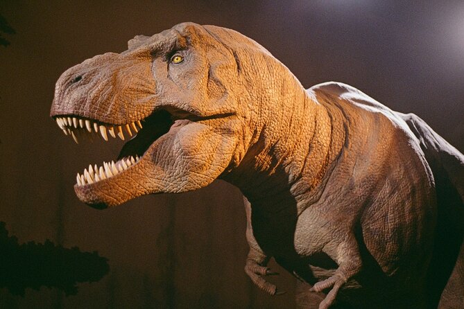 London: Natural History Museum Express Guided Tour & Audio Guide - What You Pay For: Value vs What’s Not Included