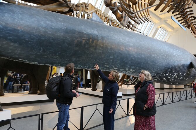 London: Natural History Museum Express Guided Tour & Audio Guide - Should You Book This Express Audio Plan?