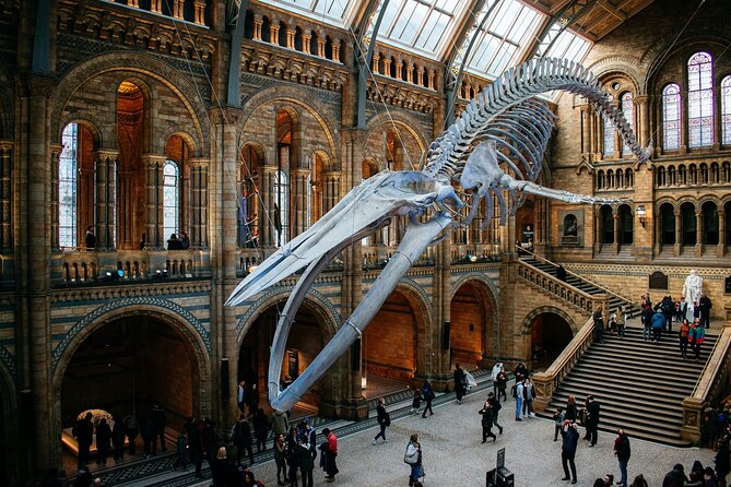 London: Natural History Museum Express Guided Tour & Audio Guide - The Audio Guide Setup: QR Code, Headphones, and Language Options