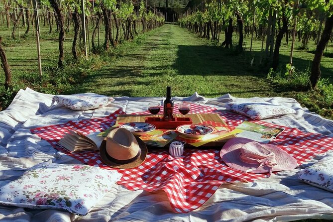 Lucca: self-guided bike tour + picnic in the vineyards - Key things to know before you go