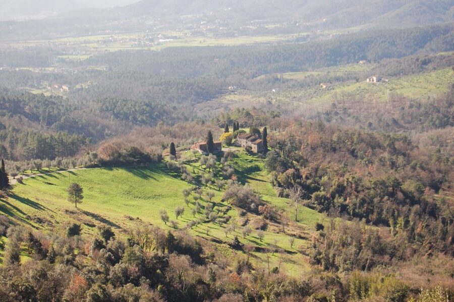 Lucca: Self-Guided Bike Tour to the Wine Roads - Quick highlights