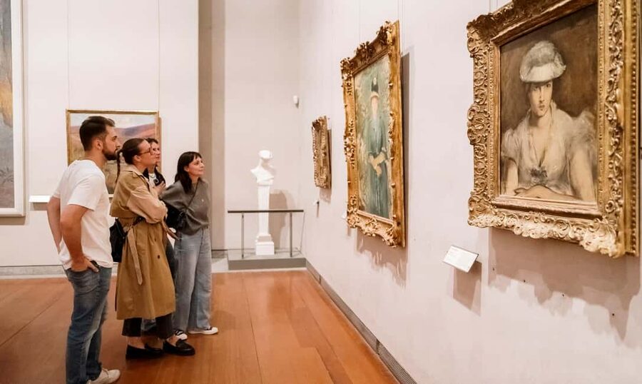 Lyon: Museum of Fine Arts Ticket & City Audio Guide - Key things to know before you go