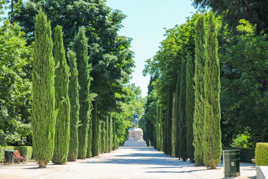 Madrid: El Retiro Park Self-Guided Audio Tour - Who this tour is best for (and who should pick something else)