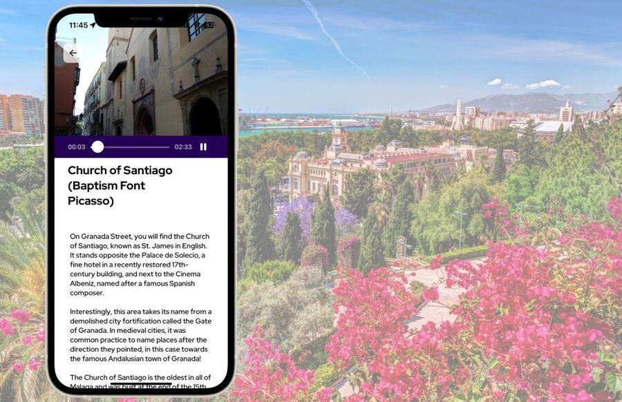 Málaga: Picasso Birthplace Museum Ticket & City Audio Guide - A Likely Queue Moment: Plan for a Short Wait