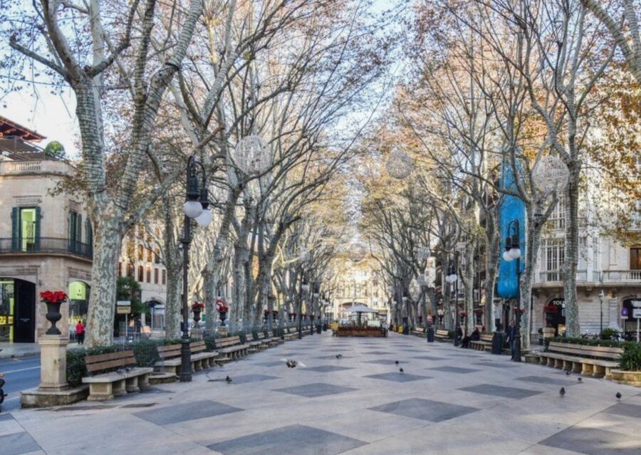 Mallorca: Transfer to Palma self-guided Tour - The Panoramic Orientation: What the Guide Explains From the Bus