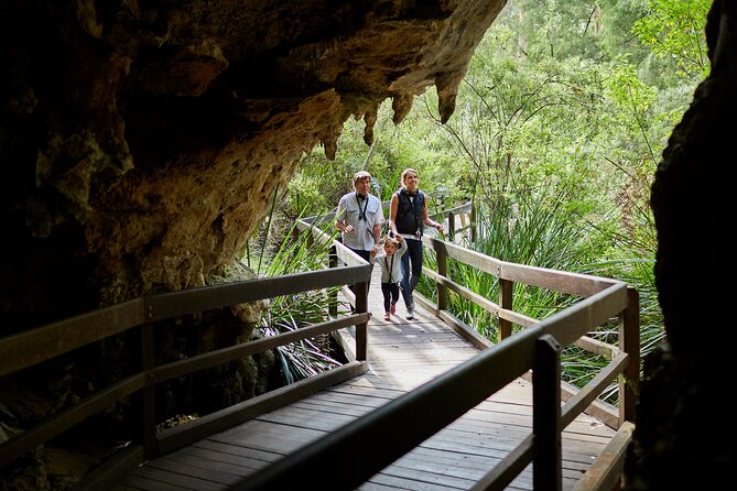 Mammoth Cave Self-guided Audio Tour (Located in Western Australia) - First Steps: Finding Mammoth Cave in the Margaret River Region