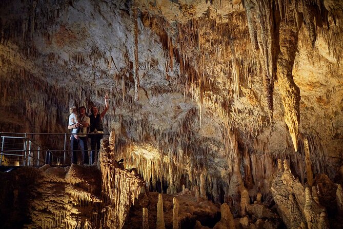 Mammoth Cave Self-guided Audio Tour (Located in Western Australia) - Fossils, Megafauna, and the 46,000-Year Time Capsule