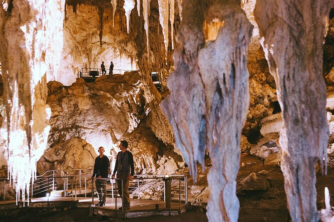 Mammoth Cave Self-guided Audio Tour (Located in Western Australia) - Price and Timing: Is $17.93 Worth It?