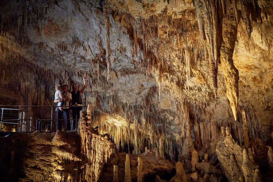 Margaret River: Self-Guided Audio Tour of Mammoth Cave - From Margaret River to Mammoth Cave, in a 2-hour time window