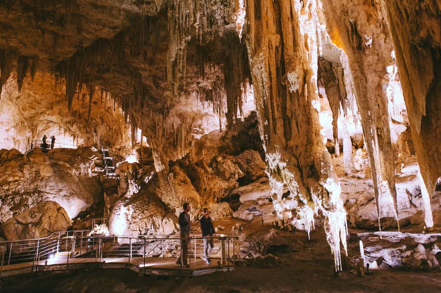 Margaret River: Self-Guided Audio Tour of Mammoth Cave - Bushland approach: the gently sloping boardwalk into the cave