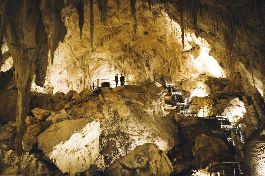 Margaret River: Self-Guided Audio Tour of Mammoth Cave - Inside Mammoth Cave: fossils, extinct giants, and a 50,000-year jawbone
