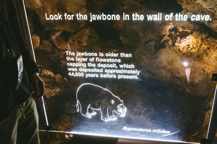 Margaret River: Self-Guided Audio Tour of Mammoth Cave - Languages, pacing, and what the self-guided setup really means for you