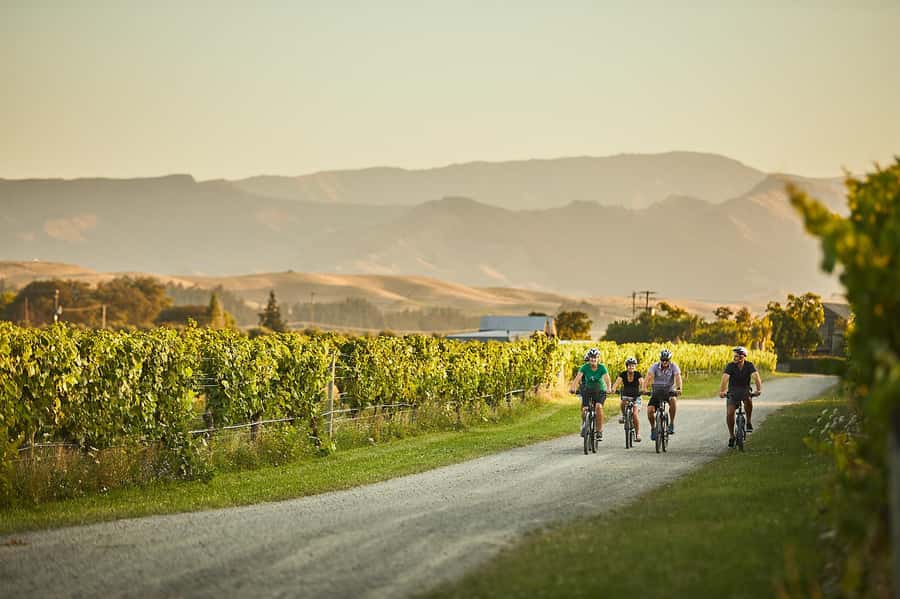 Marlborough: Full-Day Self-Guided Biking Wine Tour - Key things I’d circle on your Marlborough bike day
