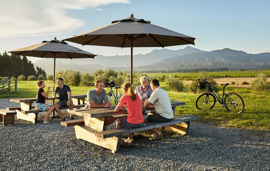Marlborough: Full-Day Self-Guided Biking Wine Tour - Marlborough by bike: why this style works so well
