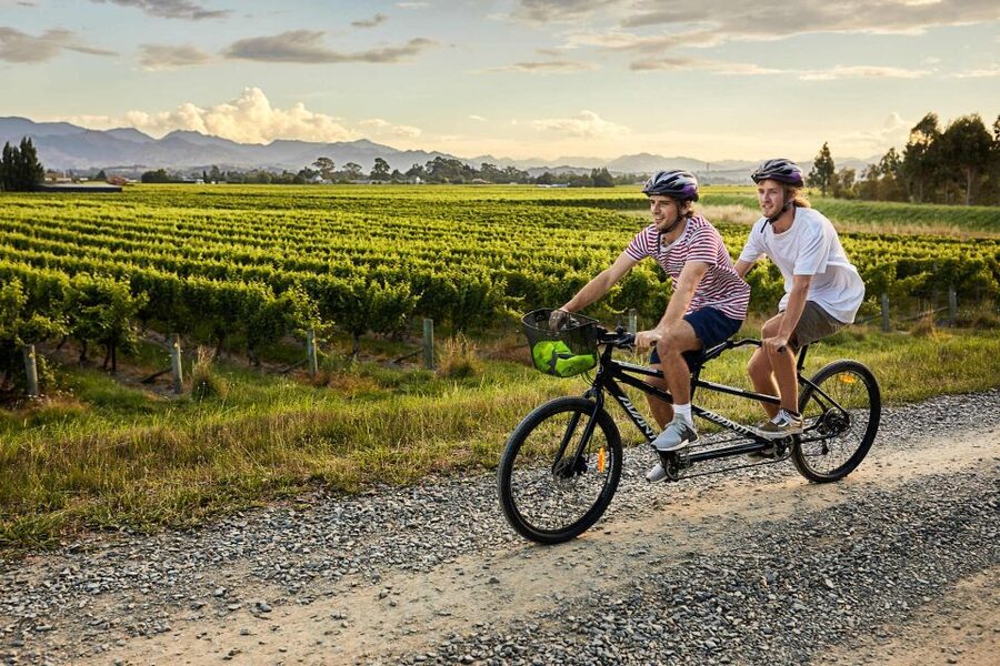 Marlborough: Full-Day Self-Guided Biking Wine Tour - Wine logistics: what to do with bottles