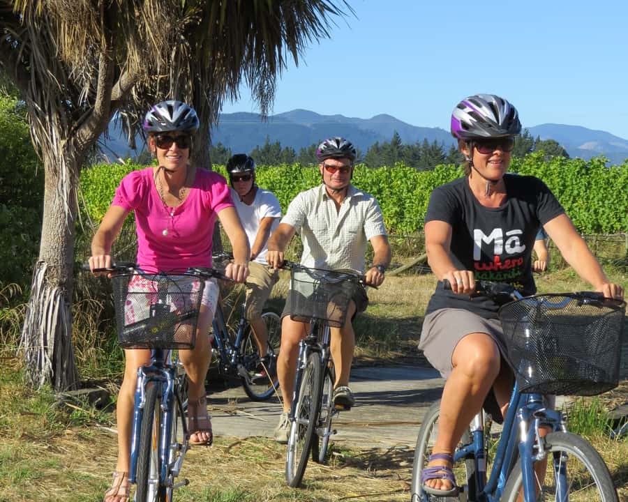 Marlborough: Half Guided and Half Self-Guided Bike Wine Tour - The Morning Ride (Pickup at 9:15): Easy Pedals and 3 Vineyard Tastings
