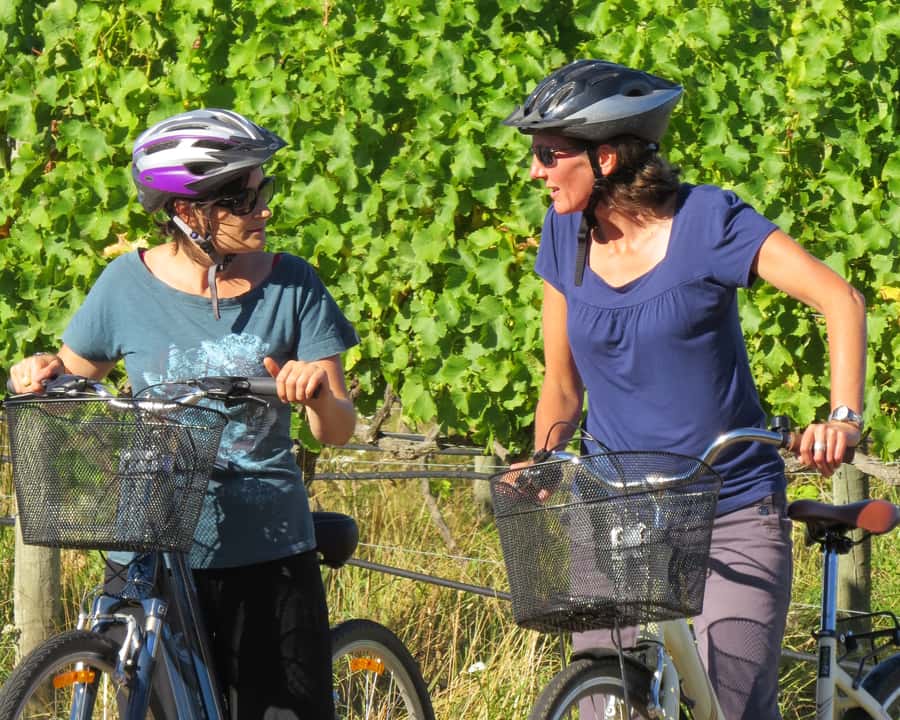 Marlborough: Half Guided and Half Self-Guided Bike Wine Tour - Biking Without Fear: Comfort, Packing, and Pace