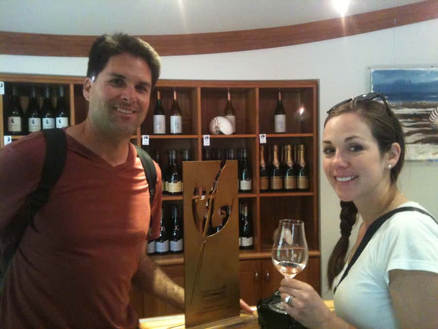 Marlborough: Half Guided and Half Self-Guided Bike Wine Tour - Who Should Book This Marlborough Bike Wine Tour