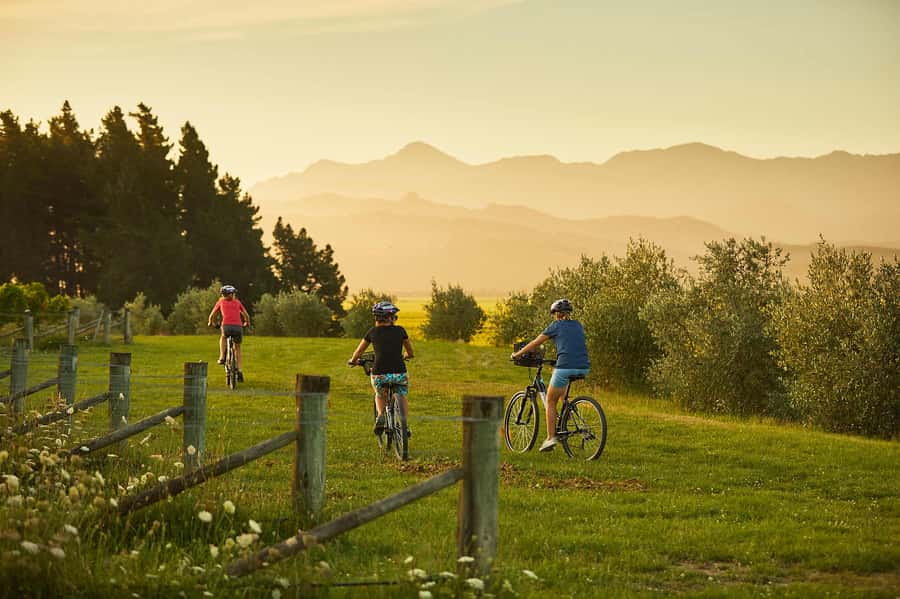 Marlborough: Half Guided and Half Self-Guided Bike Wine Tour - The Afternoon Self-Guided Window: Your Map, Your Route, Your Pace
