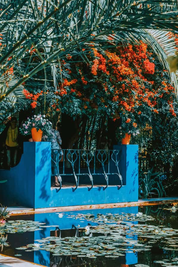 Marrakech: Majorelle Garden, Museums Tickets, & Audio Guide - What to bring and the on-site rules that shape the visit