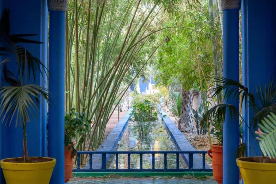Marrakech: Majorelle Garden with a Digital Audio Guide App - Majorelle Garden in an hour: what $41 really buys you