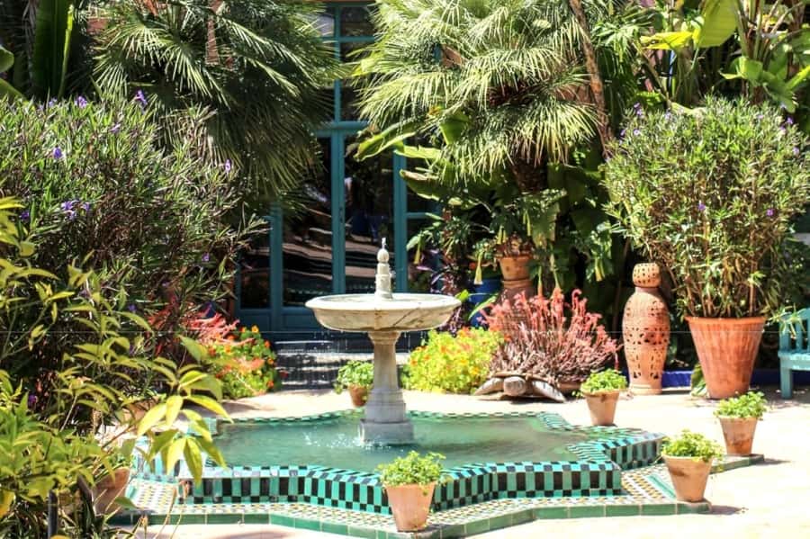 Marrakech: Majorelle Garden with a Digital Audio Guide App - Cacti, succulents, and bougainvillea: the plant walk that stays interesting
