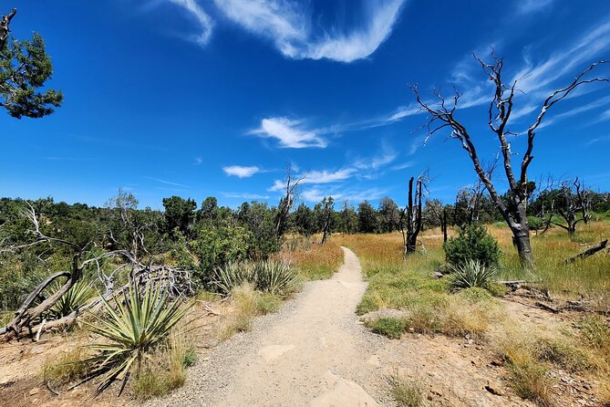 Mesa Verde National Park Self-Guided Audio Tour - Choosing your legs: Knife Edge, Point Lookout, Far View, and Cedar Tree