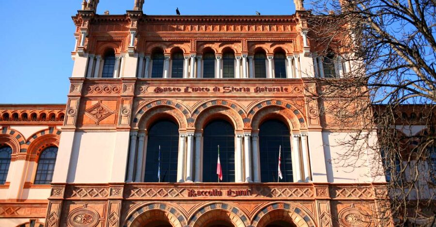 Milan: Natural History Museum Entry Ticket & Audio Guide - Key things to know before you go