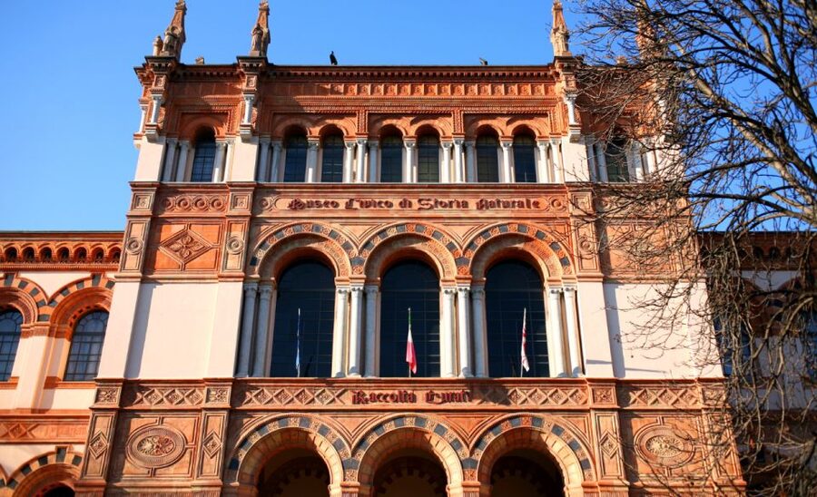 Milan: Natural History Museum Entry Ticket & Audio Guide - Who this museum audio experience is best for