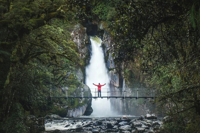 Milford Sound Nature Cruise and Self-Guided Scenic Track Walk - Why This Milford Day Works: Two Icons Without the Full-Day Commitment