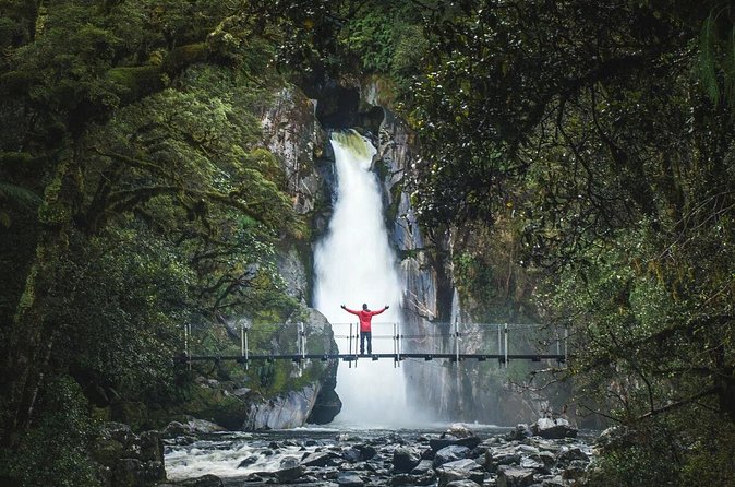 Milford Sound Nature Cruise and Self-Guided Scenic Track Walk - Who This Tour Is Best For (and Who Might Hesitate)