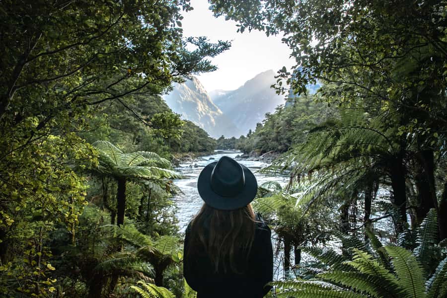 Milford Sound: Self-Guided Milford Track Day Walk - Giant Gate Falls walk: flat hiking, clear path, and a real turnaround goal