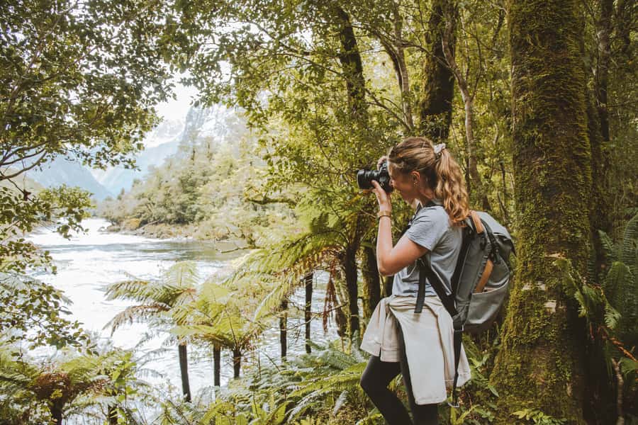 Milford Sound: Self-Guided Milford Track Day Walk - Timing your 210 minutes: boat-and-walk flow that works