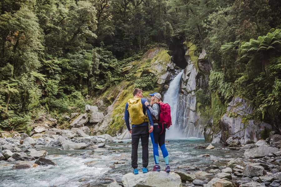 Milford Sound: Self-Guided Milford Track Day Walk - Sandflies, lunch, and the small things that make a difference