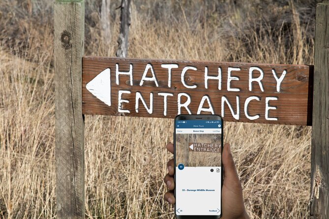 Million Dollar Highway Self-Guided Driving Audio Tour - Key things to know before you go