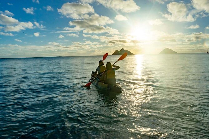Mokulua Islands Self-Guided Kayak Adventure - Wildlife viewing without turning it into a scramble